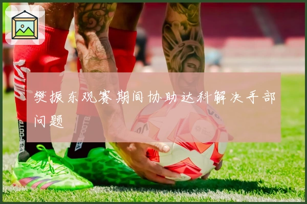 樊振东观赛期间协助达科解决手部问题